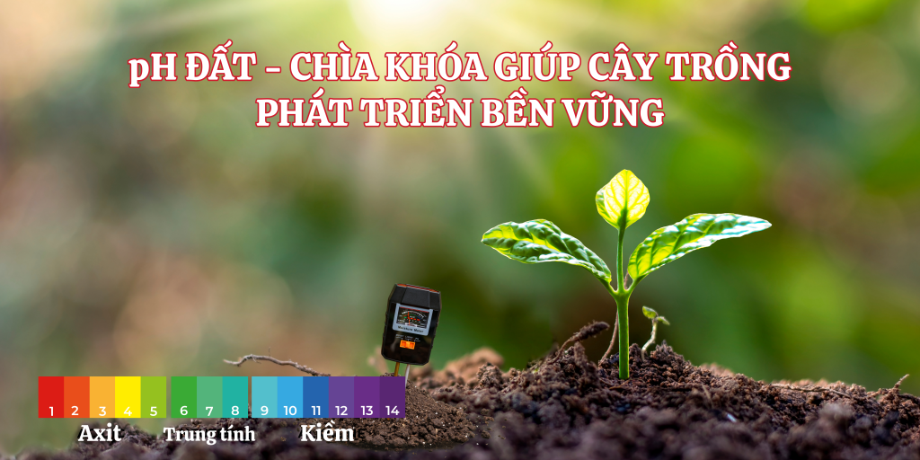 pH ĐẤT – CHÌA KHÓA GIÚP CÂY TRỒNG PHÁT TRIỂN BỀN VỮNG