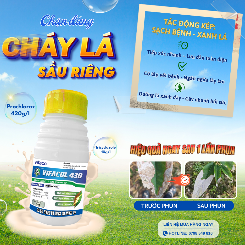 Vifacol đặc trị cháy lá