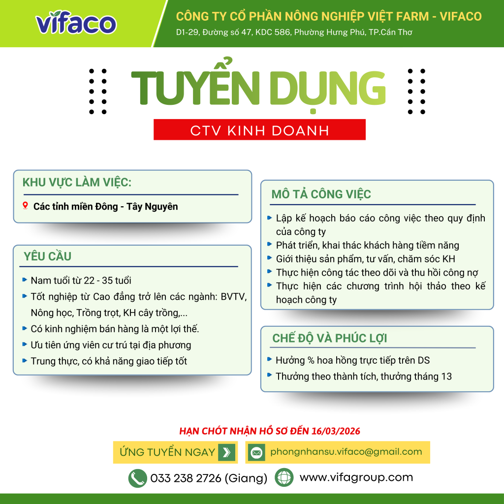Tuyển dụng CTV