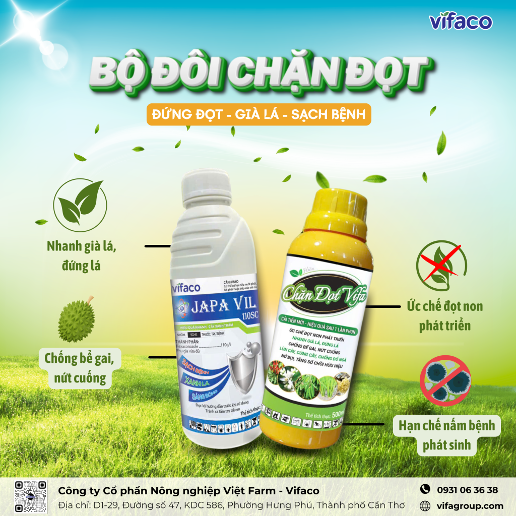 BỘ ĐÔI CHẶN CƠI ĐỌT