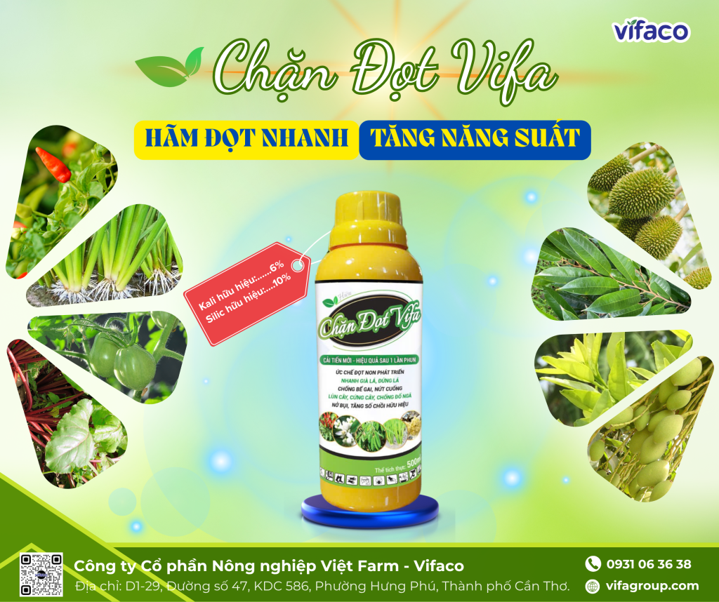 Sản phẩm Chặn đọt Vifa