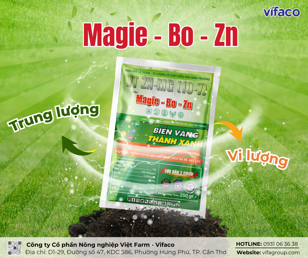 Phân bón lá Mg-Bo-Zn