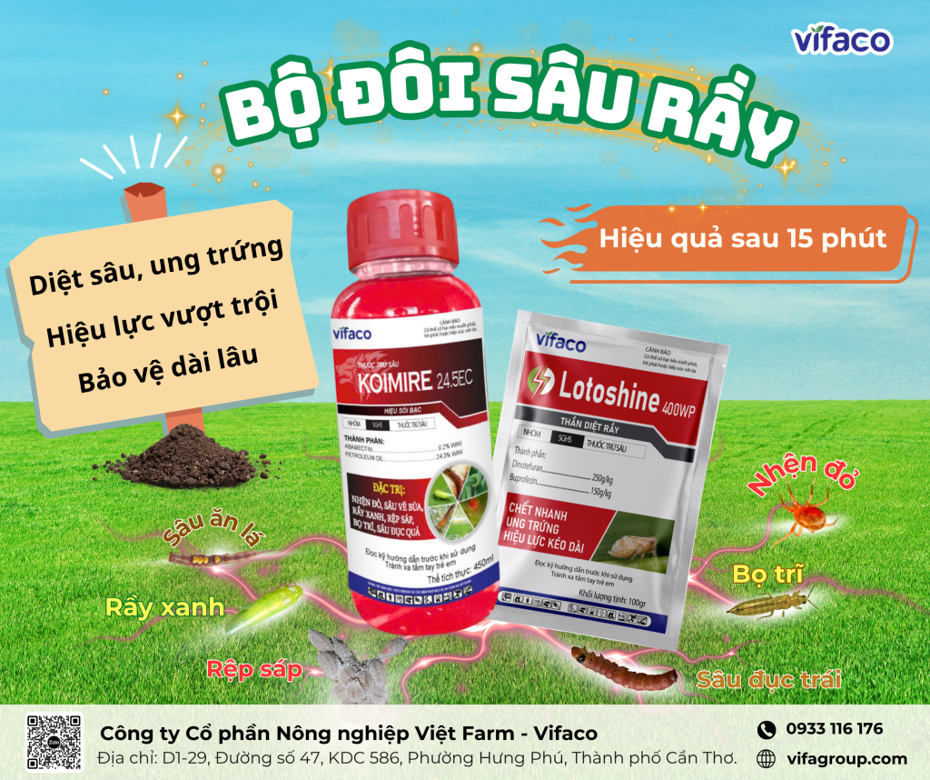 Bộ đôi sâu rầy