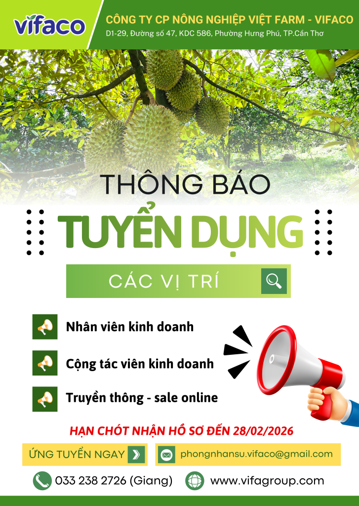 THÔNG BÁO TUYỂN DỤNG THÁNG 02